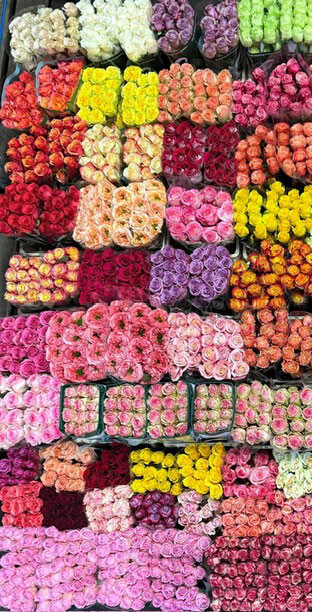 Jean Paul Hoogkamer Blumengrosshandel blumen direkt vom grosshandel 01