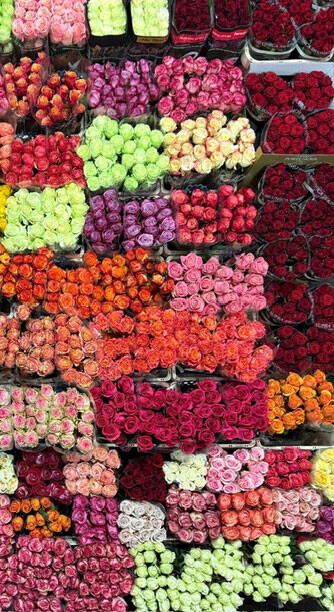 Jean Paul Hoogkamer Blumengrosshandel blumen direkt vom grosshandel 02